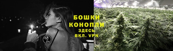 МДПВ Надым