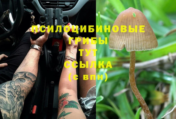 МДПВ Надым